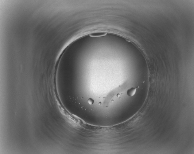 X0000068311530200604241350