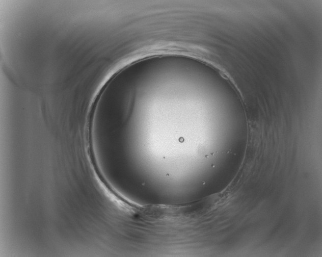 X0000068311531200604241350