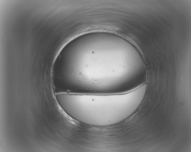 X0000068311532200604241350