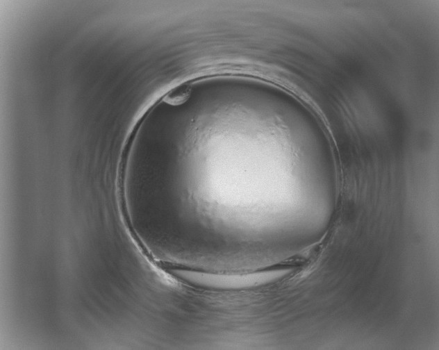 X0000068311533200604241350