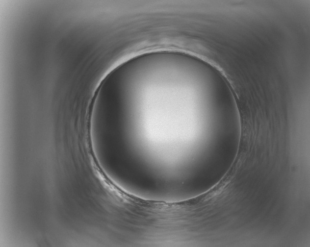 X0000068311534200604241350