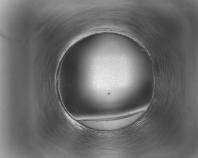 X0000068311535200604241350