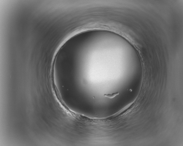 X0000068311536200604241350