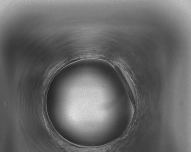 X0000068310001200604281747