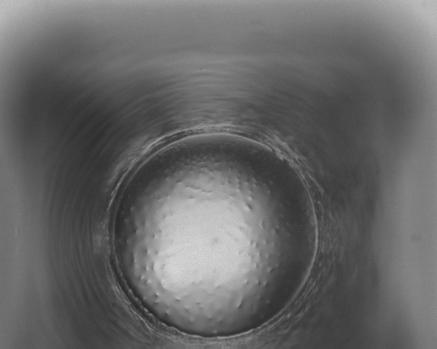 X0000068310002200604281747