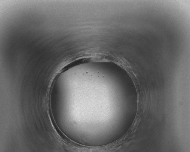 X0000068310003200604281747