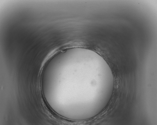 X0000068310004200604281747