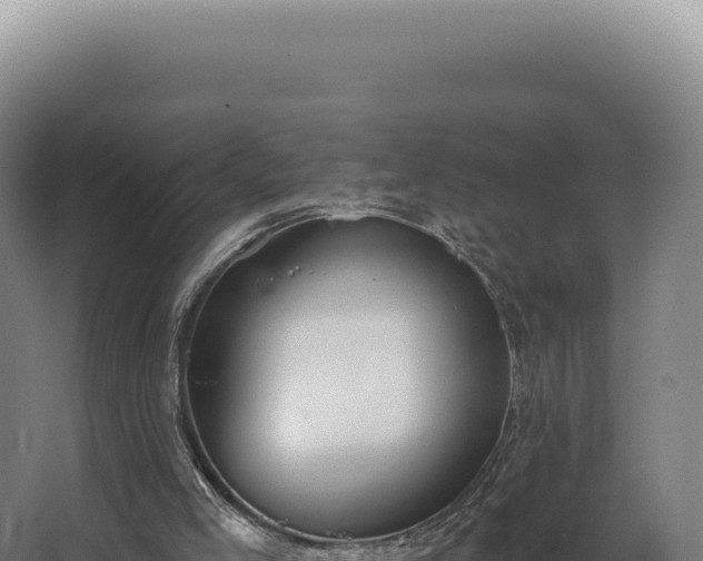 X0000068310005200604281747