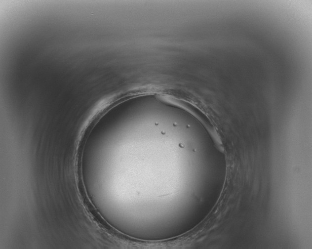 X0000068310006200604281747