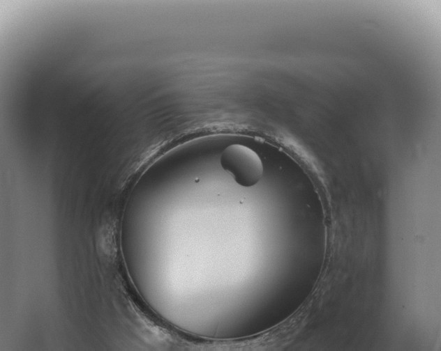 X0000068310009200604281747