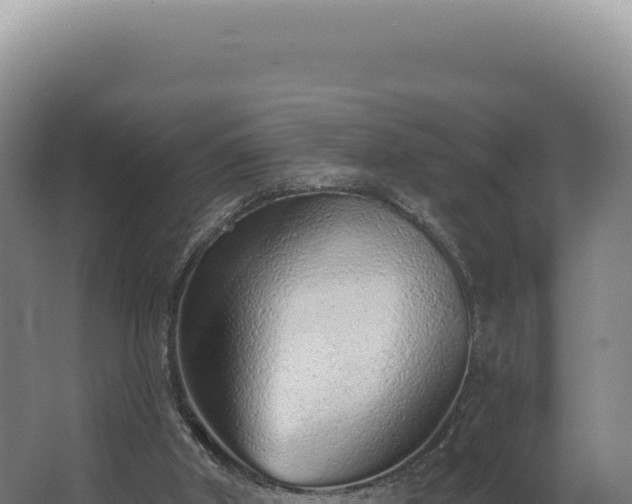 X0000068310010200604281747