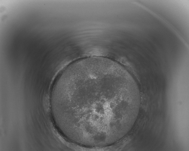 X0000068310012200604281747