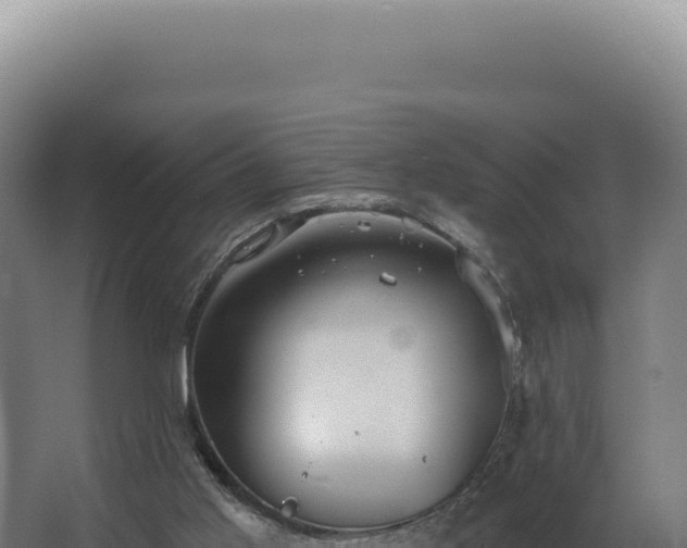 X0000068310013200604281747