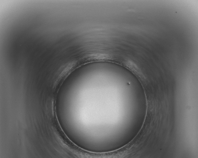 X0000068310014200604281747