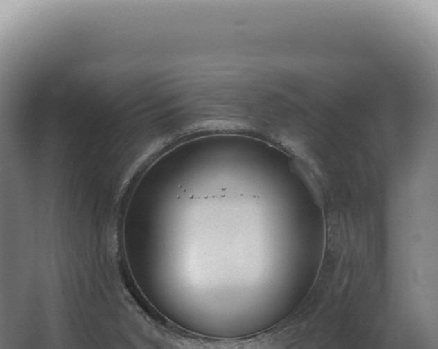 X0000068310015200604281747