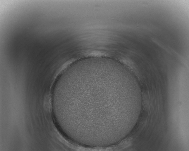 X0000068310016200604281747