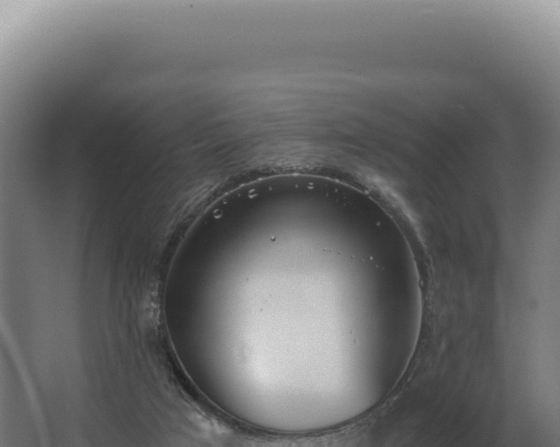 X0000068310017200604281747