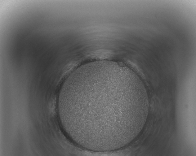 X0000068310018200604281747