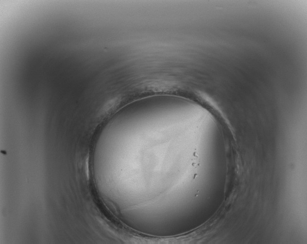 X0000068310019200604281747