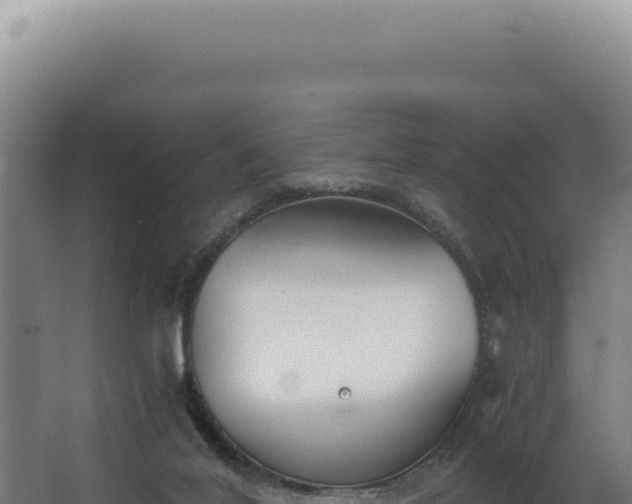 X0000068310020200604281747