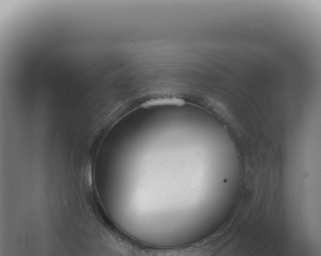 X0000068310021200604281747