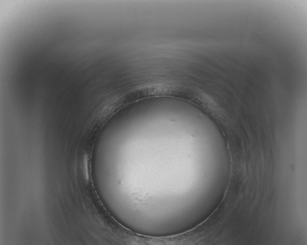 X0000068310022200604281747