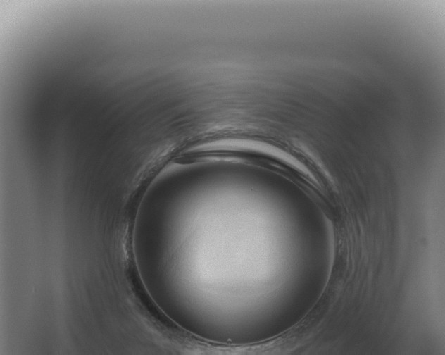 X0000068310023200604281747