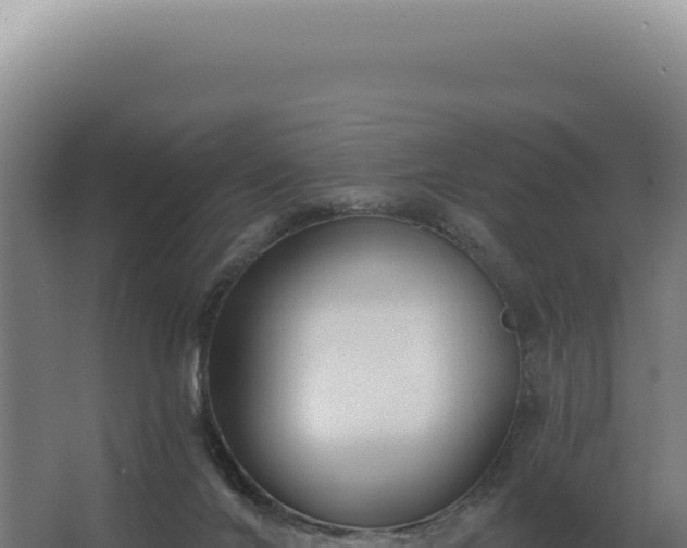 X0000068310024200604281747