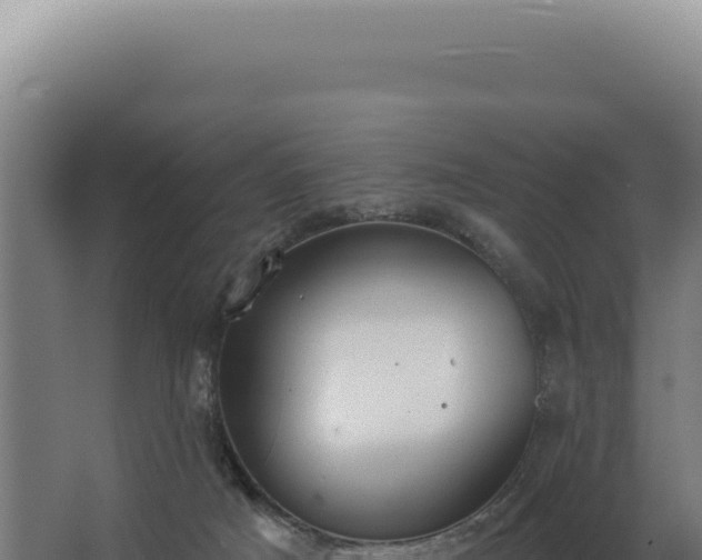 X0000068310025200604281747