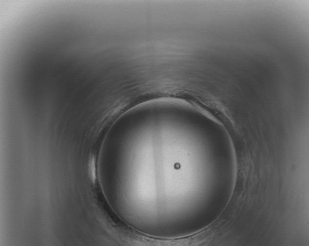 X0000068310027200604281747