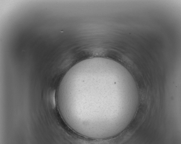 X0000068310028200604281747