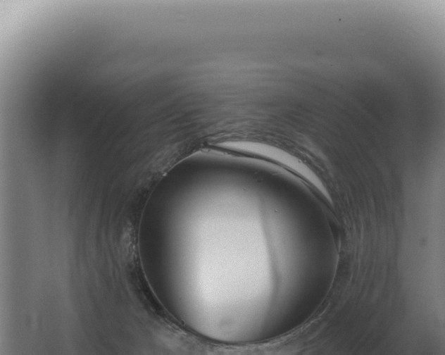 X0000068310029200604281747