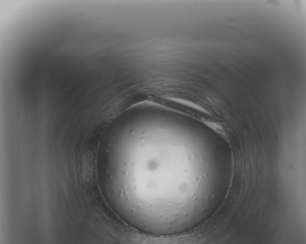 X0000068310030200604281747