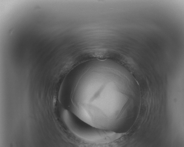 X0000068310031200604281747