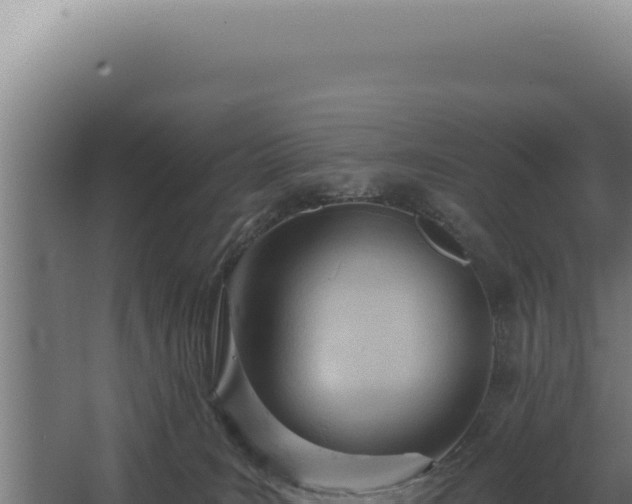 X0000068310035200604281747