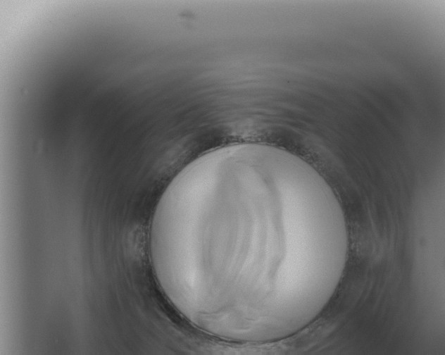 X0000068310036200604281747