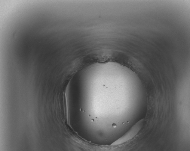 X0000068310037200604281747