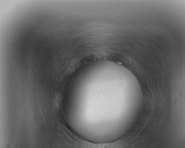 X0000068310038200604281747