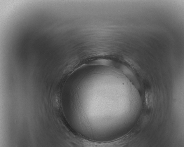 X0000068310039200604281747