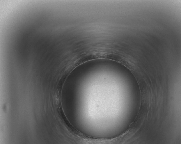 X0000068310040200604281747