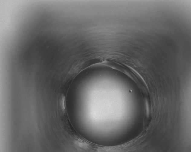 X0000068310041200604281747