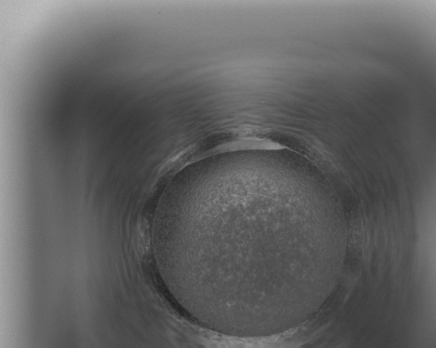 X0000068310043200604281747