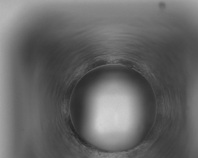 X0000068310044200604281747