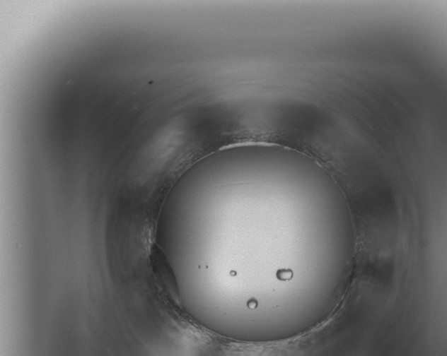 X0000068310045200604281747