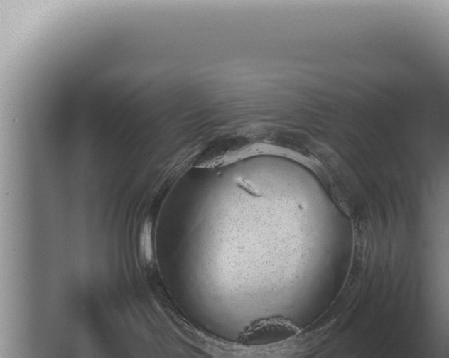 X0000068310046200604281747