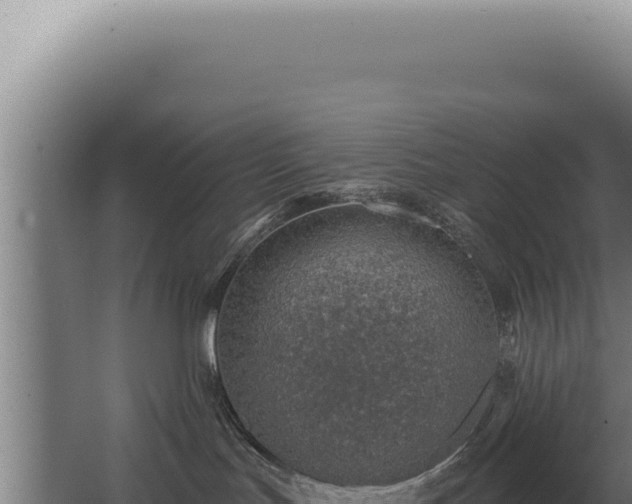 X0000068310047200604281747