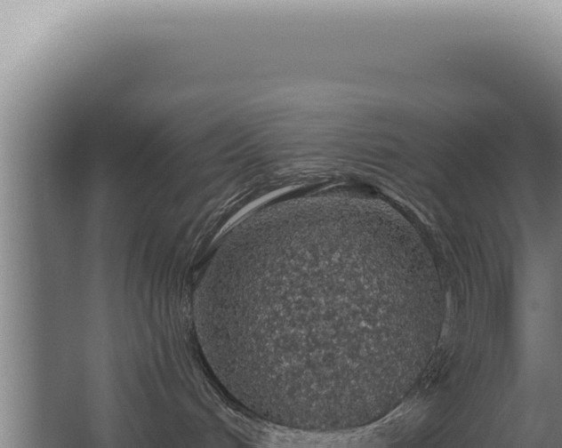 X0000068310048200604281747