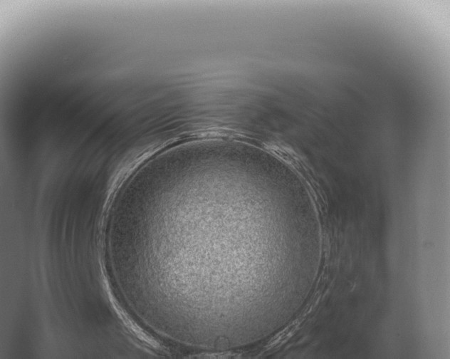 X0000068310049200604281746