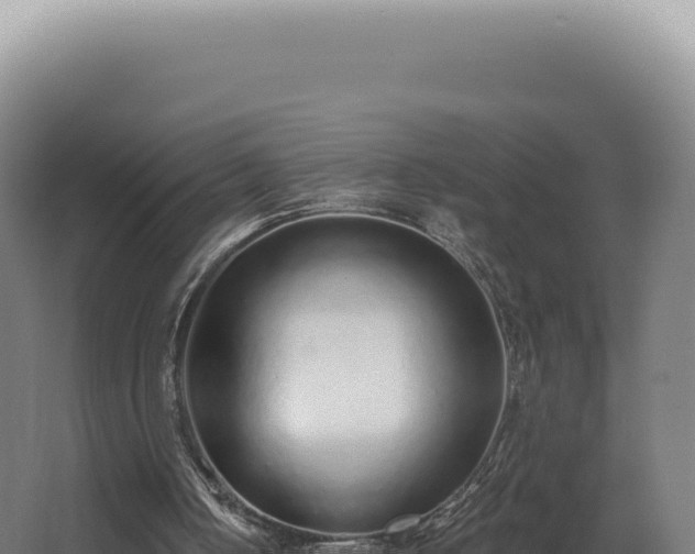 X0000068310050200604281746