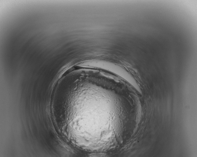 X0000068310051200604281746